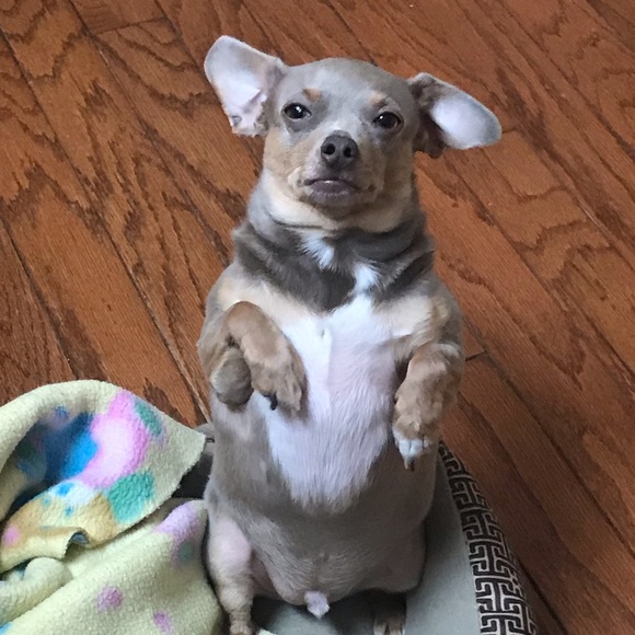 Meet your Posher, Lynette - Picture 2 of 5